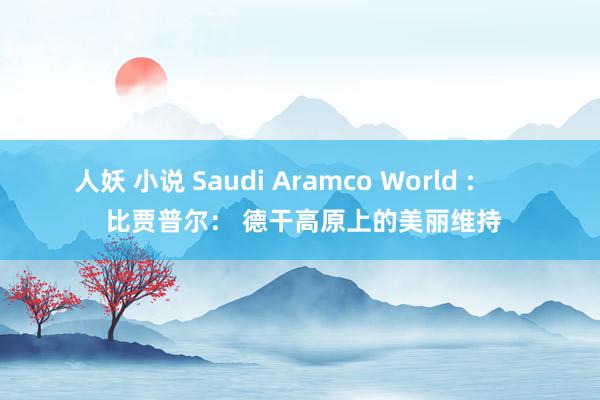 人妖 小说 Saudi Aramco World :        比贾普尔： 德干高原上的美丽维持