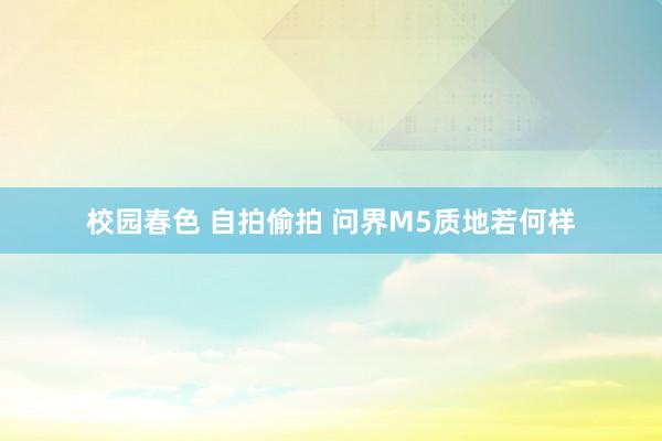 校园春色 自拍偷拍 问界M5质地若何样