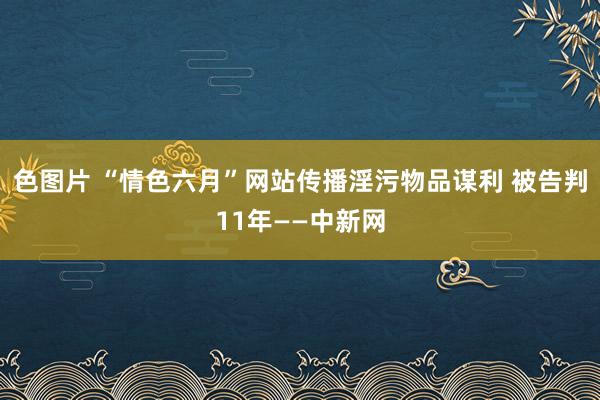 色图片 “情色六月”网站传播淫污物品谋利 被告判11年——中新网