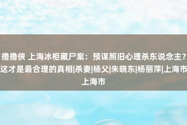 撸撸侠 上海冰柜藏尸案：预谋照旧心理杀东说念主？这才是最合理的真相|杀妻|杨父|朱晓东|杨丽萍|上海市