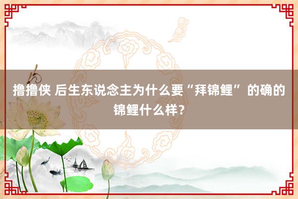 撸撸侠 后生东说念主为什么要“拜锦鲤” 的确的锦鲤什么样？