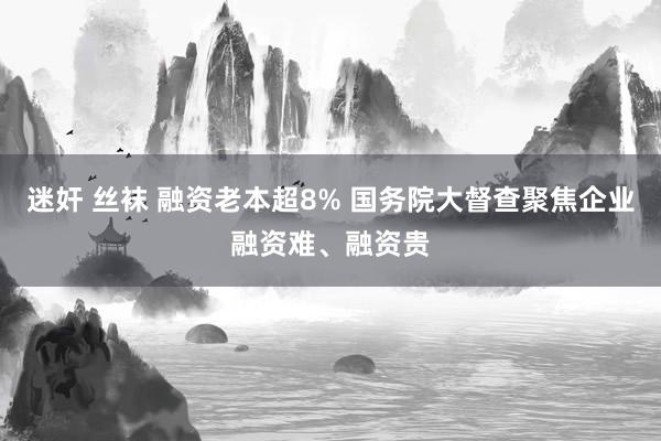 迷奸 丝袜 融资老本超8% 国务院大督查聚焦企业融资难、融资贵