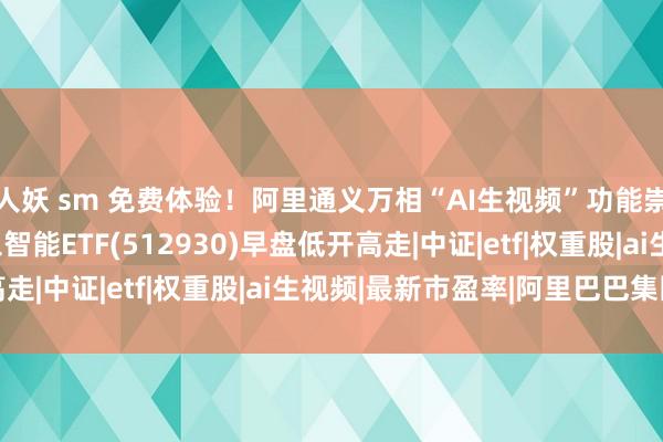 人妖 sm 免费体验！阿里通义万相“AI生视频”功能崇拜上线，AI东谈主工智能ETF(512930)早盘低开高走|中证|etf|权重股|ai生视频|最新市盈率|阿里巴巴集团