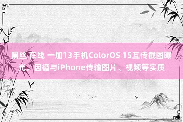 黑丝 在线 一加13手机ColorOS 15互传截图曝光，因循与iPhone传输图片、视频等实质