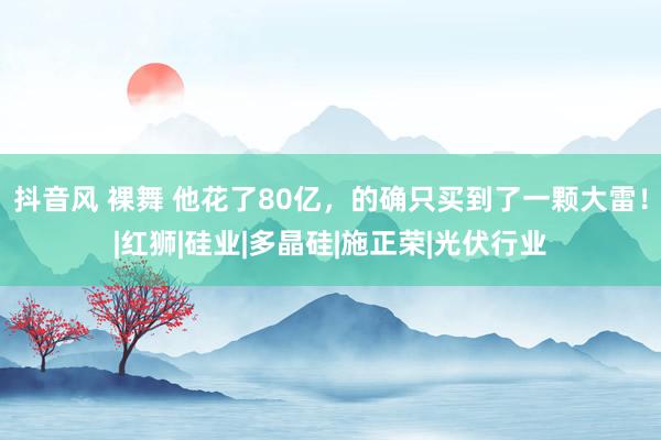 抖音风 裸舞 他花了80亿，的确只买到了一颗大雷！|红狮|硅业|多晶硅|施正荣|光伏行业