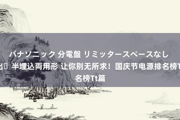 パナソニック 分電盤 リミッタースペースなし 露出・半埋込両用形 让你别无所求！国庆节电源排名榜Tt篇