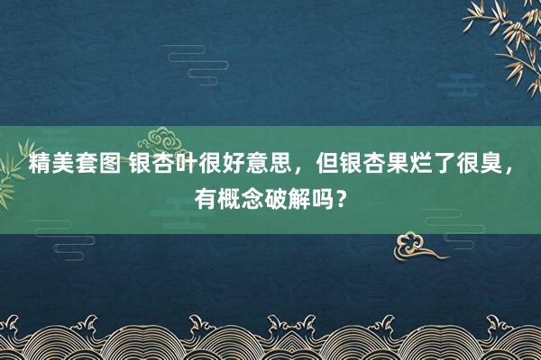 精美套图 银杏叶很好意思，但银杏果烂了很臭，有概念破解吗？